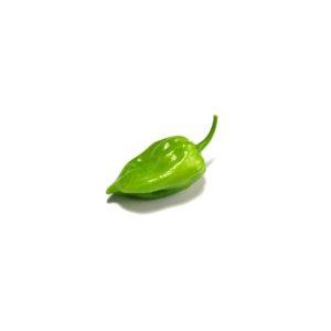 Chile Habanero Verde Grande