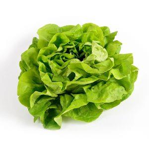 Lechuga Francesa