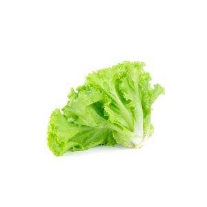 Lechuga Italiana Grande